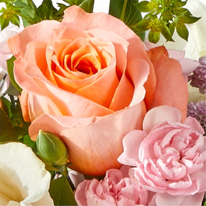 French Market Bouquet –  Charleston Cut Flower Company, Charleston WV