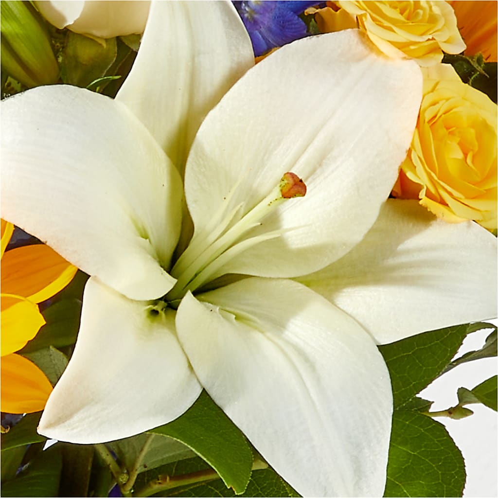Wonderfully Sunny Bouquet –  Charleston Cut Flower Company, Charleston WV