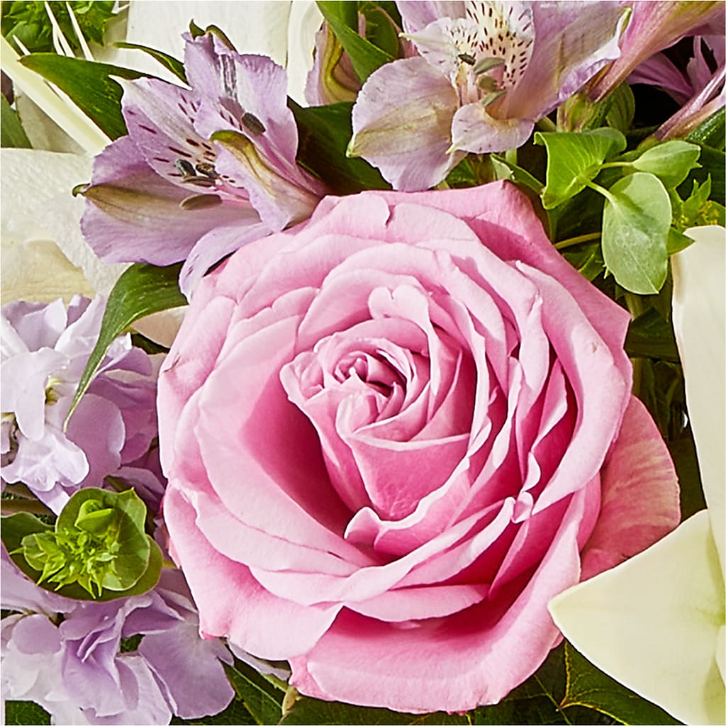 Daydreamer Bouquet –  Charleston Cut Flower Company, Charleston WV
