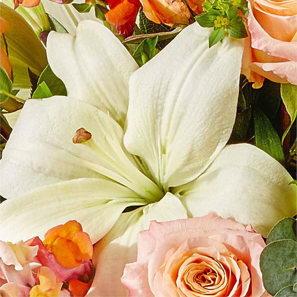 Grapefruit Splash Bouquet –  Charleston Cut Flower Company, Charleston WV