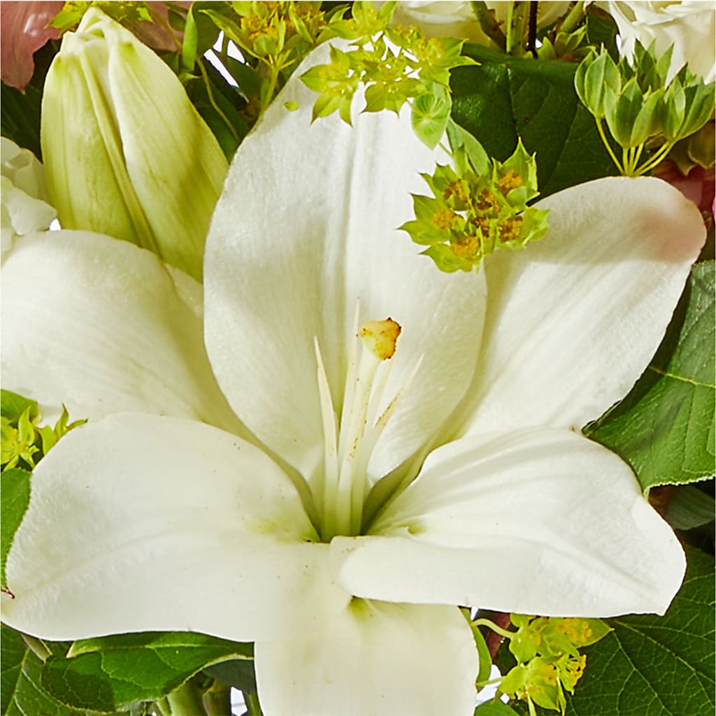 Fondly Bouquet –  Charleston Cut Flower Company, Charleston WV
