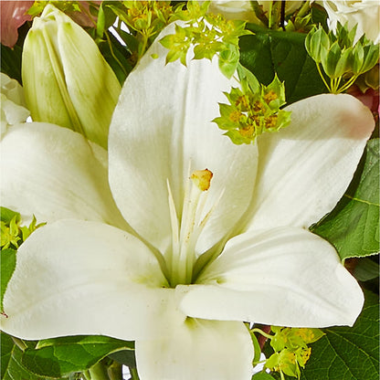 Fondly Bouquet –  Charleston Cut Flower Company, Charleston WV