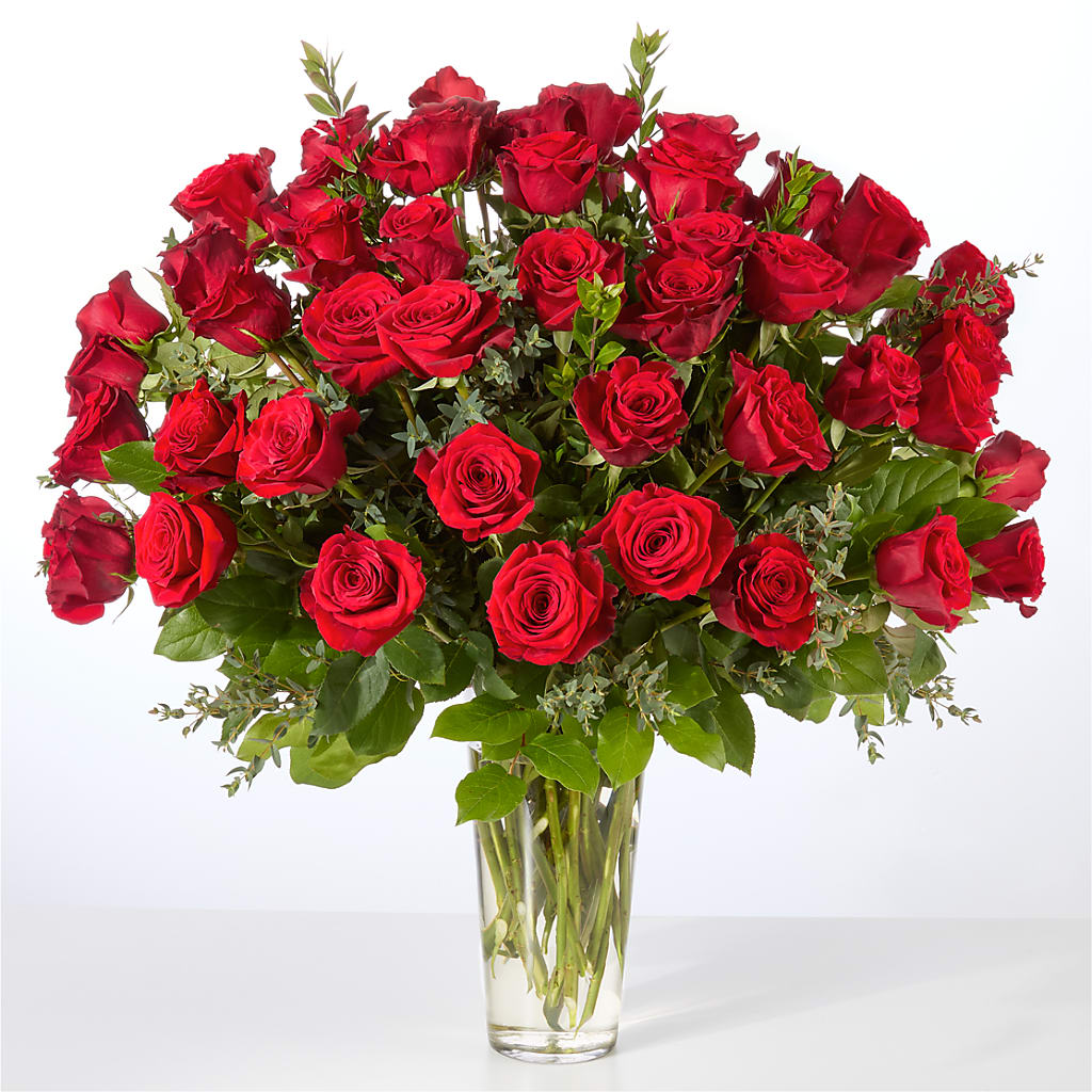 Forever Yours Fifty Stem Red Rose Bouquet –  Charleston Cut Flower Company, Charleston WV