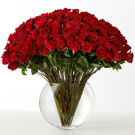 The Idealist –  Charleston Cut Flower Company, Charleston WV