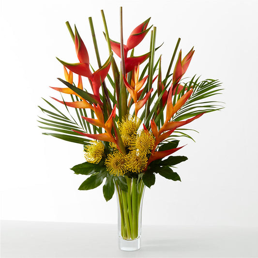 The Drama –  Charleston Cut Flower Company, Charleston WV