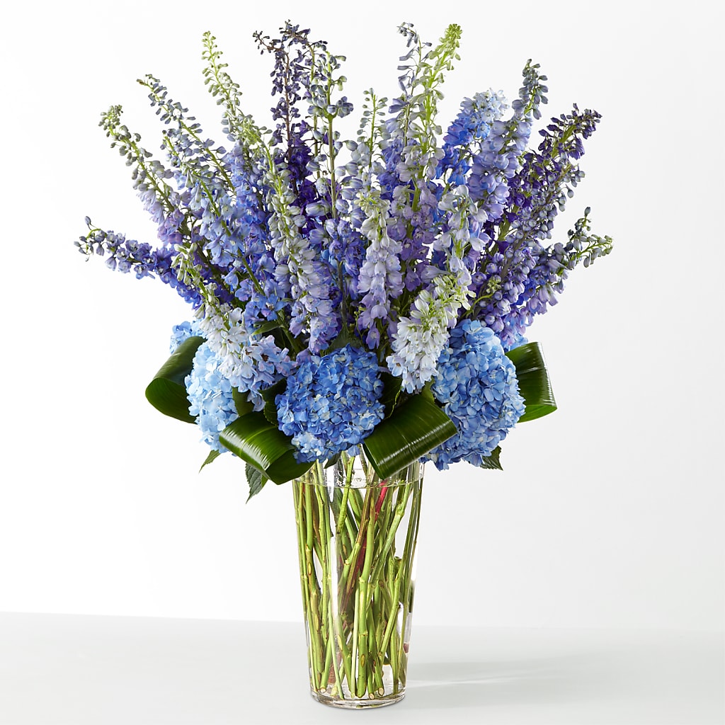 The Editorial –  Charleston Cut Flower Company, Charleston WV