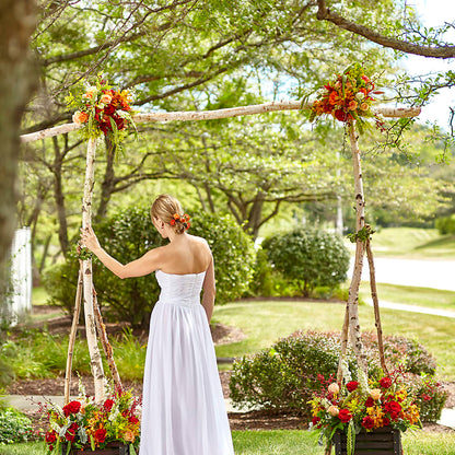 Arbor of Love Archway –  Charleston Cut Flower Company, Charleston WV