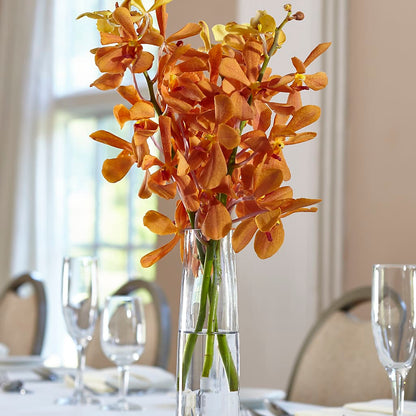 Orange Mokara Bud Vase –  Charleston Cut Flower Company, Charleston WV