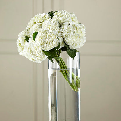 White Hydrangea Hand-Tied Bouquet –  Charleston Cut Flower Company, Charleston WV