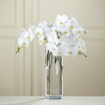 White Phalaenopsis Bouquet –  Charleston Cut Flower Company, Charleston WV