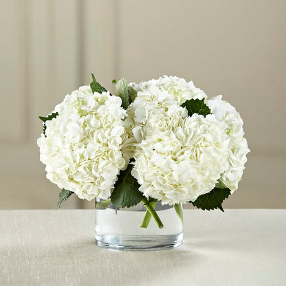 White Hydrangea Bouquet –  Charleston Cut Flower Company, Charleston WV