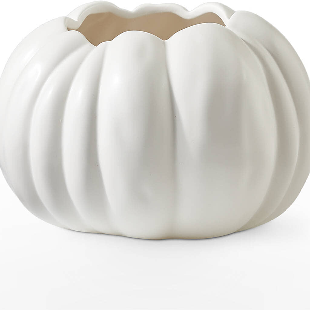 Pumpkin to Talk About Bouquet –  Charleston Cut Flower Company, Charleston WV