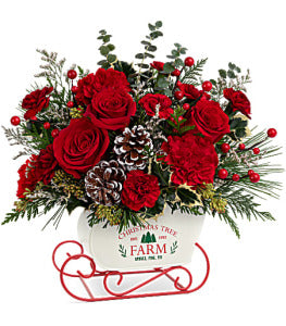 Teleflora's Snow What Fun by CCF