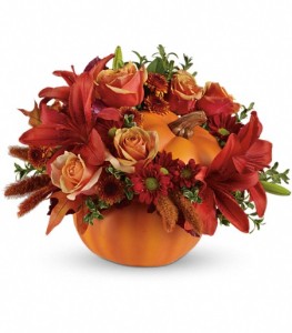 Teleflora's Autumn Joy by CCF