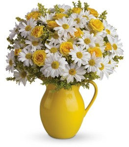 Teleflora's Sunny Day Pitcher of Daisies by CCF