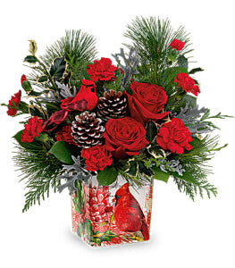 Teleflora's Cardinal Cheer by CCF