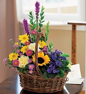 Basket of Glory - by Charleston Cut Flower Co.